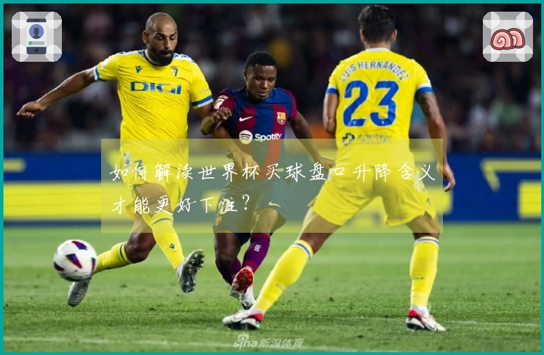 如何解读世界杯买球盘口升降含义才能更好下注？