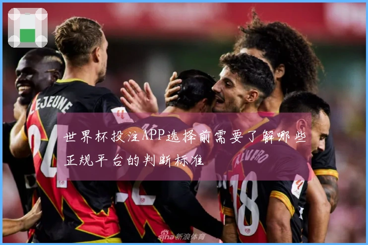 世界杯投注APP选择前需要了解哪些正规平台的判断标准