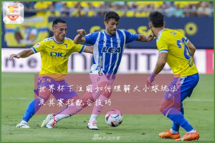 世界杯下注前如何理解大小球玩法及其赛程配合技巧