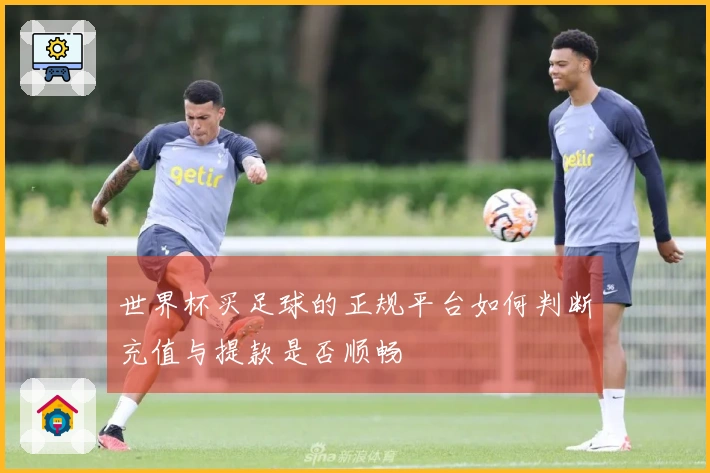 世界杯买足球的正规平台如何判断充值与提款是否顺畅