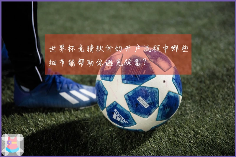 世界杯竞猜软件的开户流程中哪些细节能帮助你避免踩雷？