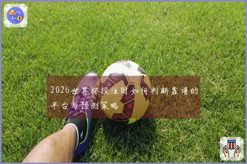 2026世界杯投注时如何判断靠谱的平台与预测策略