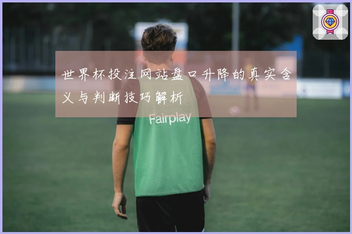 世界杯投注网站盘口升降的真实含义与判断技巧解析