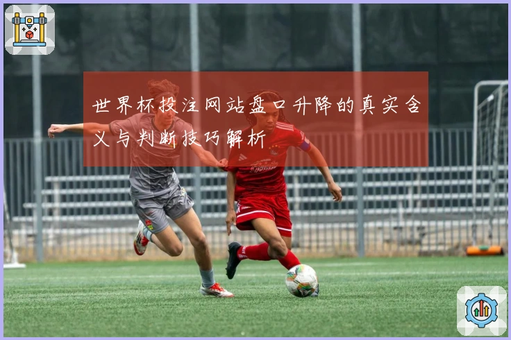 世界杯投注网站盘口升降的真实含义与判断技巧解析