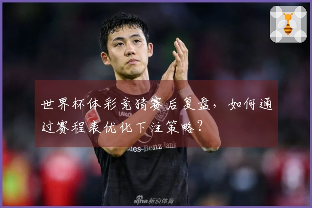 世界杯体彩竞猜赛后复盘,如何通过赛程表优化下注策略?