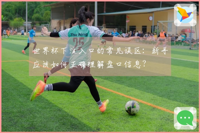 世界杯下注入口的常见误区：新手应该如何正确理解盘口信息？
