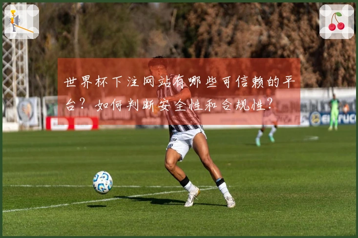 世界杯下注网站有哪些可信赖的平台？如何判断安全性和合规性？