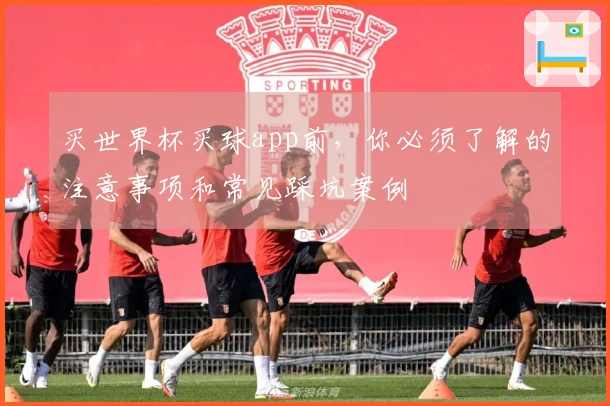 买世界杯买球app前，你必须了解的注意事项和常见踩坑案例