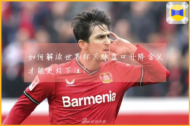 如何解读世界杯买球盘口升降含义才能更好下注？
