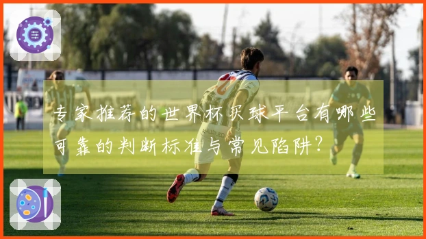 专家推荐的世界杯买球平台有哪些可靠的判断标准与常见陷阱？