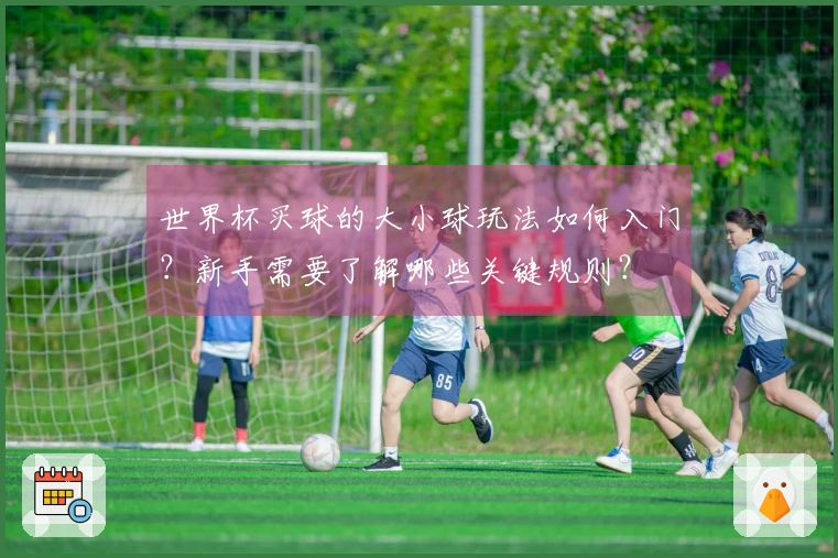 世界杯买球的大小球玩法如何入门？新手需要了解哪些关键规则？
