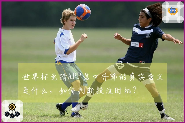 世界杯竞猜APP盘口升降的真实含义是什么，如何判断投注时机？