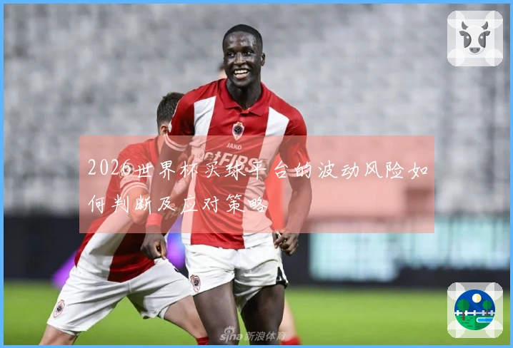 2026世界杯买球平台的波动风险如何判断及应对策略
