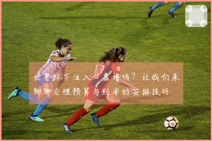 世界杯下注入口靠谱吗?让我们来聊聊合理预算与赔率的安排技巧