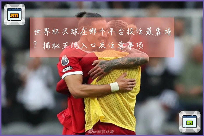 世界杯买球在哪个平台投注最靠谱？揭秘正规入口及注意事项