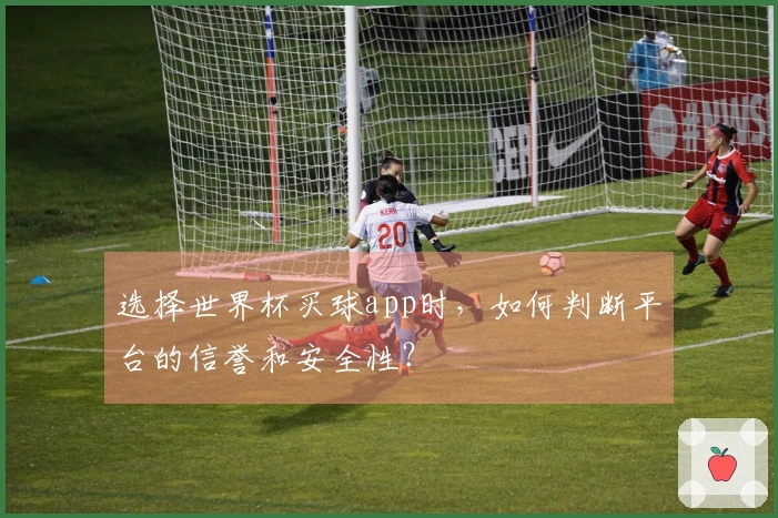 选择世界杯买球app时，如何判断平台的信誉和安全性？