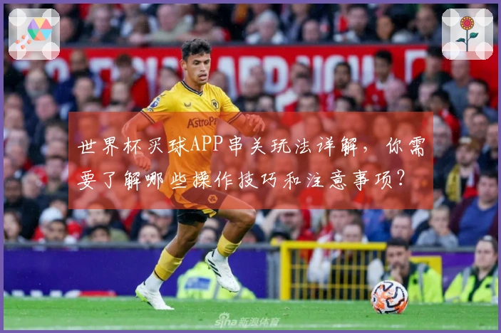 世界杯买球APP串关玩法详解，你需要了解哪些操作技巧和注意事项？