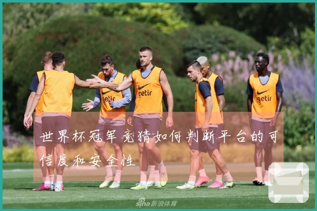 世界杯冠军竞猜如何判断平台的可信度和安全性