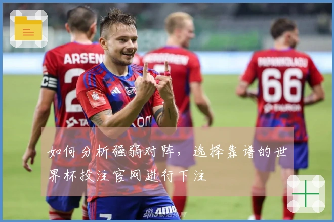 如何分析强弱对阵，选择靠谱的世界杯投注官网进行下注
