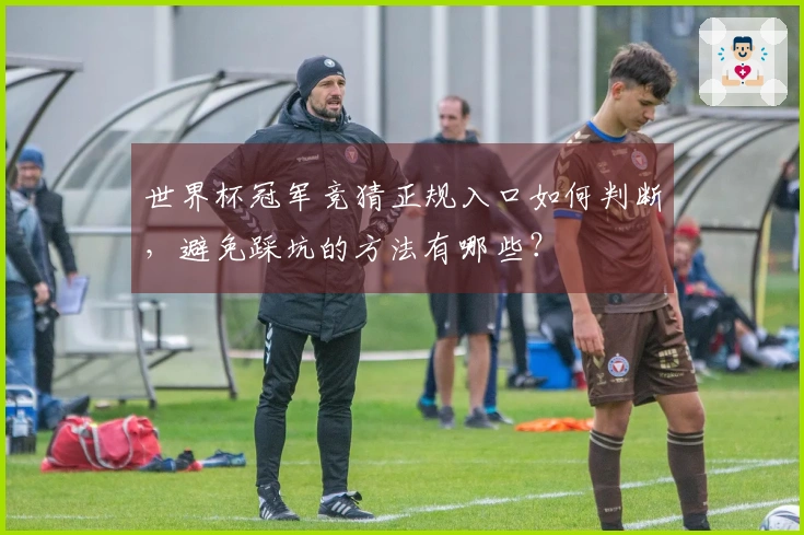 世界杯冠军竞猜正规入口如何判断，避免踩坑的方法有哪些？