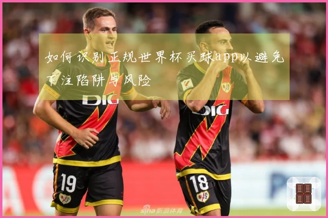 如何识别正规世界杯买球app以避免下注陷阱与风险