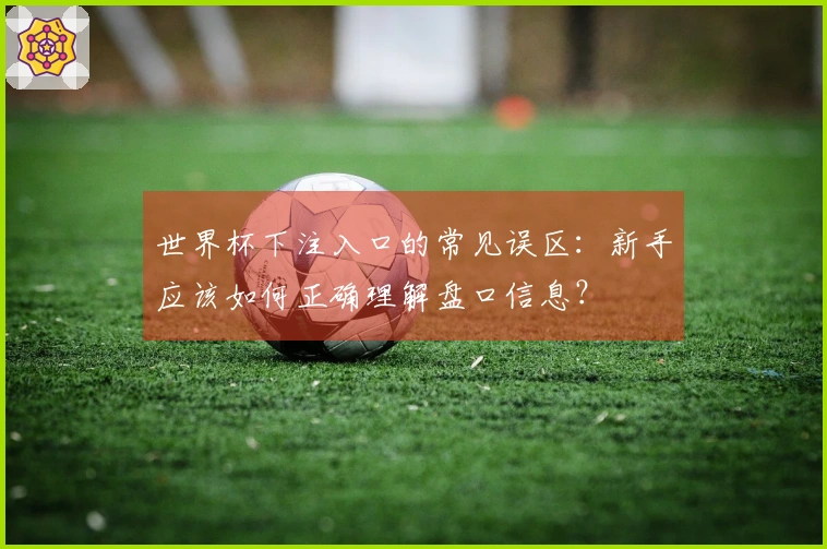 世界杯下注入口的常见误区：新手应该如何正确理解盘口信息？