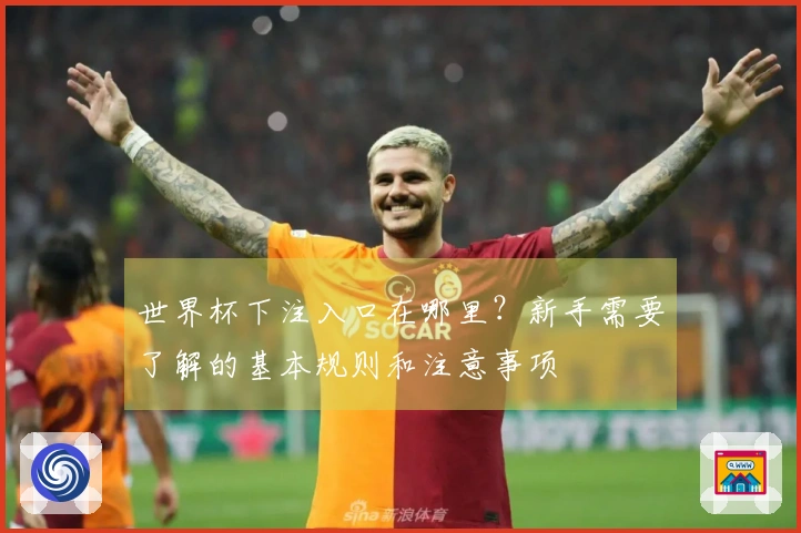 世界杯下注入口在哪里？新手需要了解的基本规则和注意事项