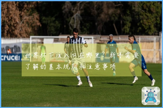 世界杯下注入口在哪里？新手需要了解的基本规则和注意事项
