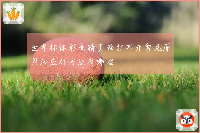 世界杯体彩竞猜页面打不开常见原因和应对方法有哪些