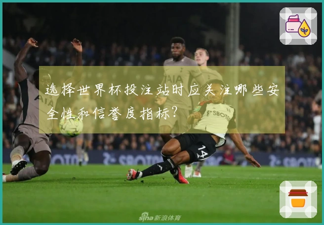 选择世界杯投注站时应关注哪些安全性和信誉度指标？