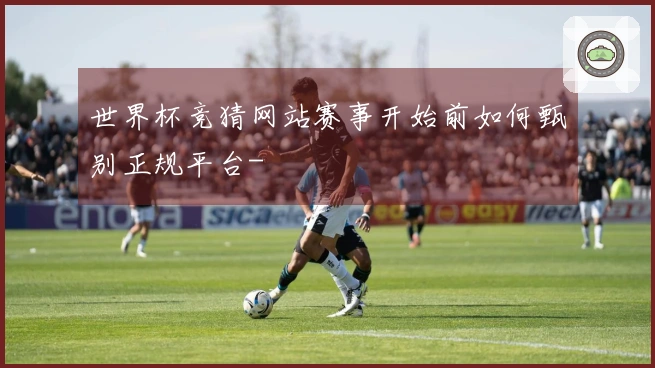 世界杯竞猜网站赛事开始前如何甄别正规平台-