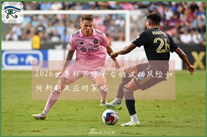 2026世界杯买球平台的波动风险如何判断及应对策略