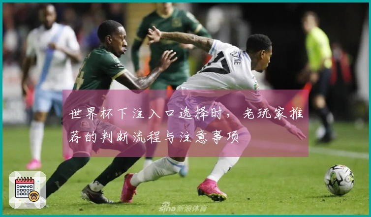 世界杯下注入口选择时，老玩家推荐的判断流程与注意事项