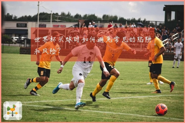世界杯买球时如何避免常见的陷阱和风险？