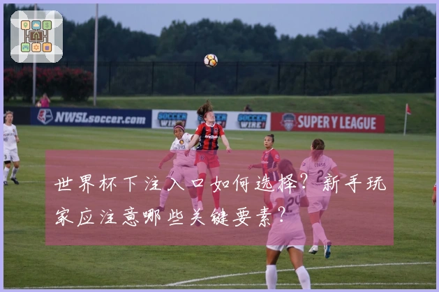 世界杯下注入口如何选择？新手玩家应注意哪些关键要素？