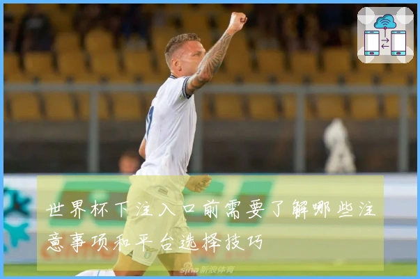 世界杯下注入口前需要了解哪些注意事项和平台选择技巧