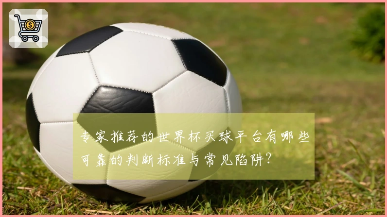 专家推荐的世界杯买球平台有哪些可靠的判断标准与常见陷阱？